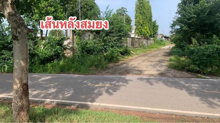 ขายที่ดิน1งาน49ตรว. รูปที่ 4