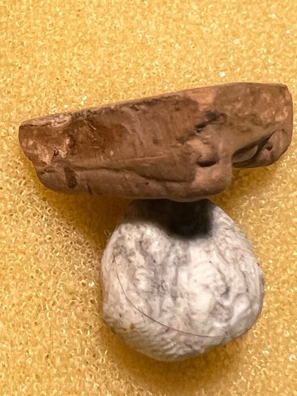 พระนางพญา พิมพ์มีหน้ามีตา หลวงปู่โต๊ะ วัดประดู่ฉิมพลี รูปที่ 5