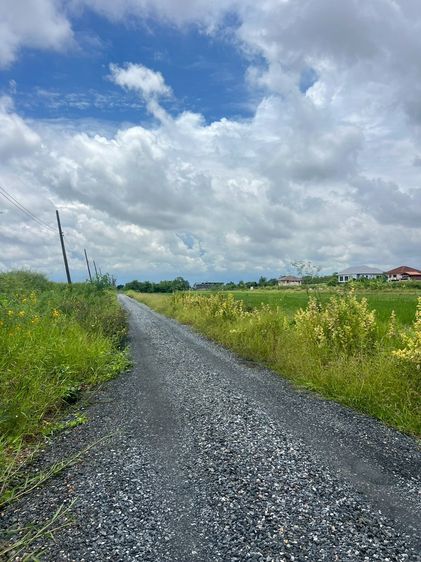 ที่ดินคลอง 11 รูปที่ 4