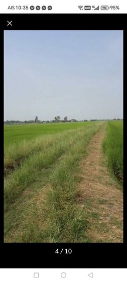 ที่ดินลำลูกกา รูปที่ 4