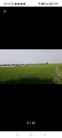 ที่ดินลำลูกกา