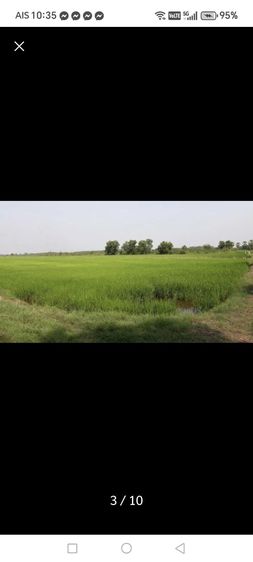 ที่ดินลำลูกกา รูปที่ 2