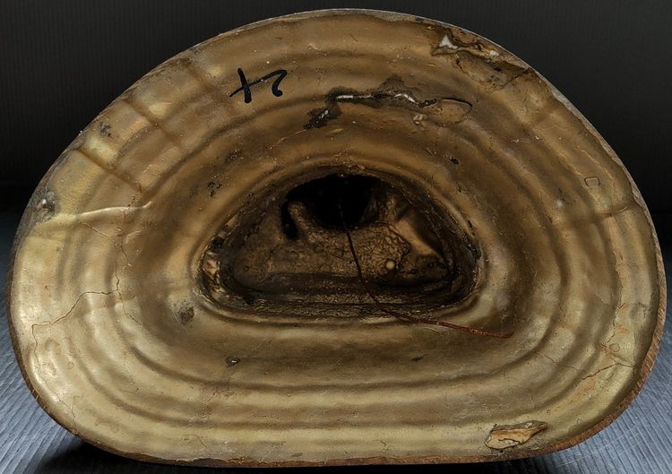 พระแก้วบุษราคัม วัดศรีอุบล รุ่นสมโภช 150 ปี  รูปที่ 8