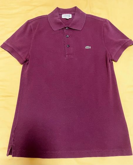 เสื้อ polo lacoste รูปที่ 2