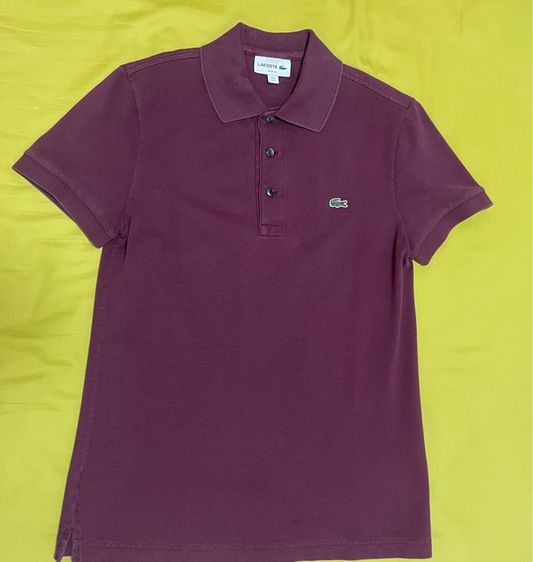 เสื้อ polo lacoste รูปที่ 4