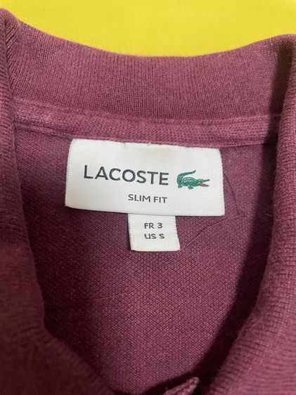 เสื้อ polo lacoste รูปที่ 3