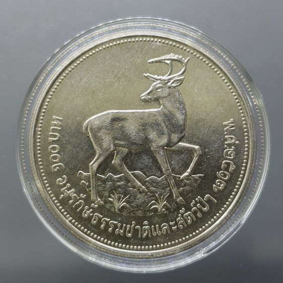 เหรียญเงิน 100 บาท ที่ระลึก การอนุรักษ์ธรรมชาติและสัตว์ป่า ละมั่ง พ.ศ.2517 รูปที่ 7