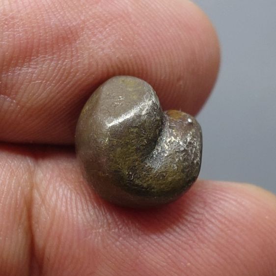 พดด้วง ขนาด สองสลึง ตรามงกุฎ-กงจักร (บล็อกทองคำ) รัชกาลที่4 ขนาดหายาก สภาพสวย ตราชัด รูปที่ 6