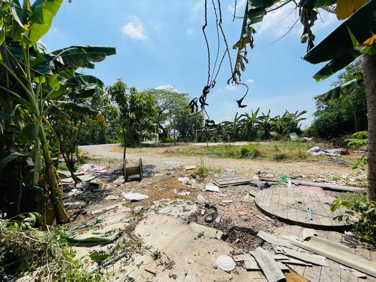 ขายที่ดิน 1 ไร่ มี2โฉนดๆละ200 ตรวอยู่คลอง 3 อำเภอคลองหลวง จ. ปทุมธานี ทางเข้าร้านอาหารเผ็ด หน้าถนนเป็นถนนคอนกรีตกว้าง 6 เมตร รถสวนไปมาได้ รูปที่ 4