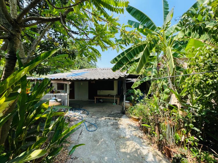 ขายที่ดิน 1 ไร่ มี2โฉนดๆละ200 ตรวอยู่คลอง 3 อำเภอคลองหลวง จ. ปทุมธานี ทางเข้าร้านอาหารเผ็ด หน้าถนนเป็นถนนคอนกรีตกว้าง 6 เมตร รถสวนไปมาได้ รูปที่ 3