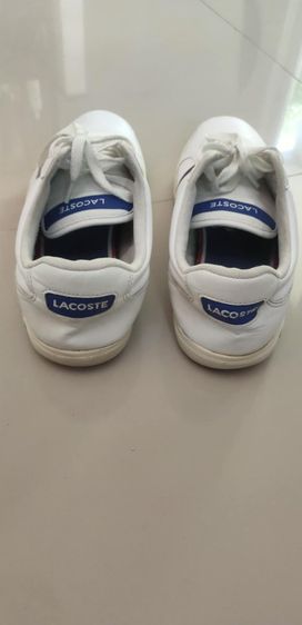 รองเท้า  Lacoste ของแท้ รูปที่ 7