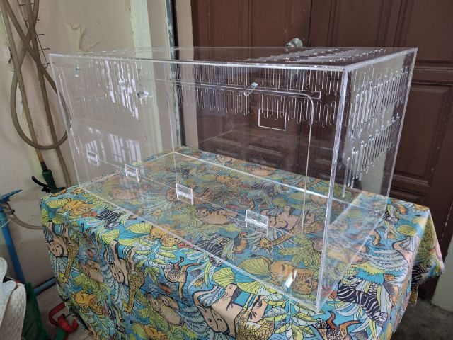 กรงอะคริลิค ขนาด 80x40x40 ซม สำหรับเม่นแคระและสัตว์ Exotic  รูปที่ 7