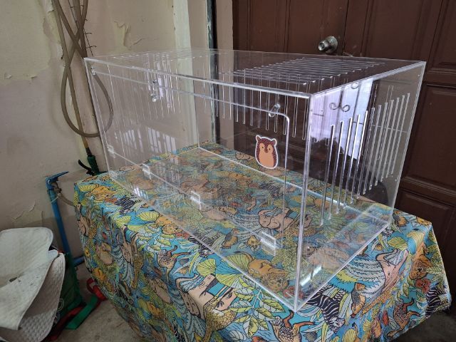 กรงอะคริลิค ขนาด 80x40x40 ซม สำหรับเม่นแคระและสัตว์ Exotic  รูปที่ 17