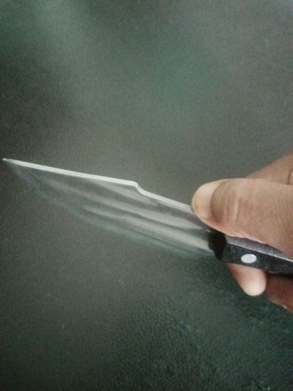 มีเอนกประสงค์​  เดินป่า​  ทำอาหาร​ ป้องกันตัว​  ใบมีด4นิ้ว​  หนา3มม.​ ยาวรวม8นิ้ว รูปที่ 4