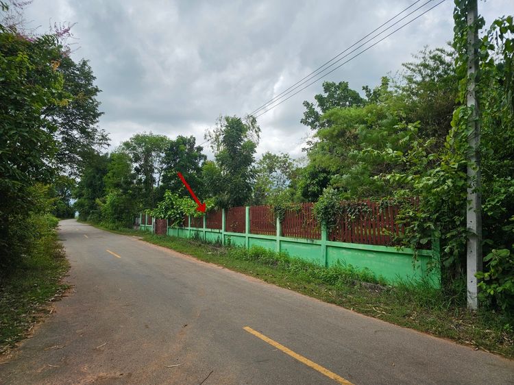 ที่ดิน 7 ไร่ ติดถนนลาดยาง บ้านหนองกุง เมืองขอนแก่น ราคาพิเศษ ห่างตัวเมืองขอนแก่นเพียง 15 นาที รูปที่ 2