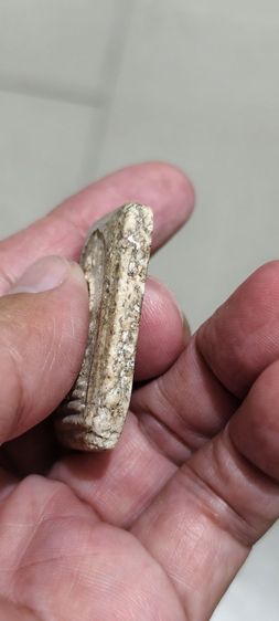 พระสมเด็จเก่าๆ รูปที่ 7