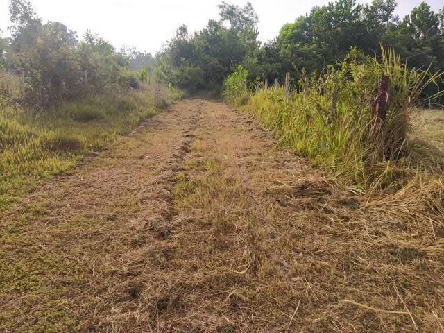 ไม่ใช่ ด่วน ขายที่ดิน หาดใหญ่ น้ำไม่ท่วม 100 ตารางวา ใกล้สนามบินหาดใหญ่ เพียง 5 นาที รูปที่ 3