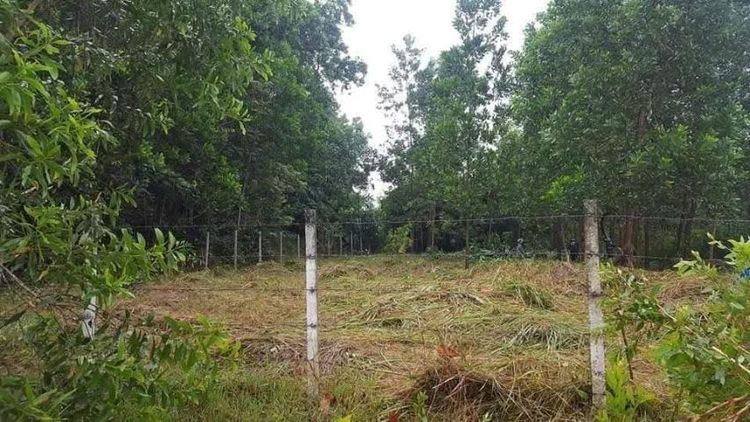 ไม่ใช่ ด่วน ขายที่ดิน หาดใหญ่ น้ำไม่ท่วม 100 ตารางวา ใกล้สนามบินหาดใหญ่ เพียง 5 นาที รูปที่ 2