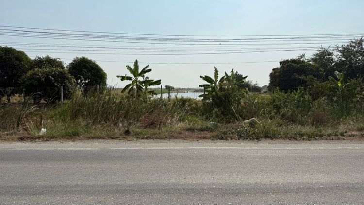 47 ไร่ติดถนน Rare Item โซน EEC ราคาดีสุดในพื้นที่ เหมาะทำโรงงาน คลัง ลงทุนระยะยาว รูปที่ 2