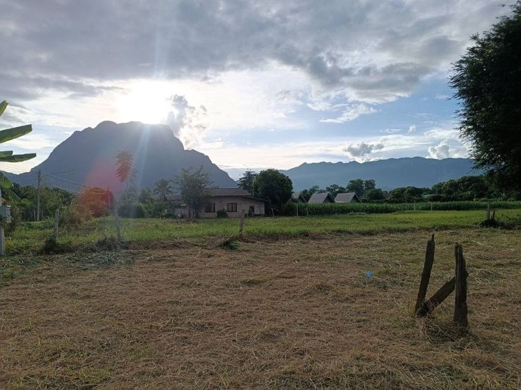 ขายที่ดินเปล่าขนาด 1 ไร่ 1 งาน 35 ตารางวา อ.เชียงดาว จ.เชียงใหม่ บรรยากาศร่มรื่น เห็นวิวดอยหลวง ใกล้โรงเรียนยูเมะมิกิ รูปที่ 2