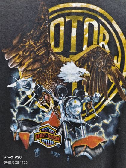 3D t shirt  รูปที่ 4