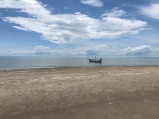 ไม่ใช่ ที่ดินติดทะล รูปที่ 2