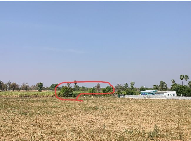 ขายที่โฉนด1ไร่  ตรงข้ามท้องฟ้าจำลอง ,ถมแล้ว  อยู่ในซอยบ้านสวนบนเนิน2  ต.โคกกรวด อ.เมือง จ.นครราชสีมา มีไฟฟ้าแล้วขาย1,300,0000บ รูปที่ 3