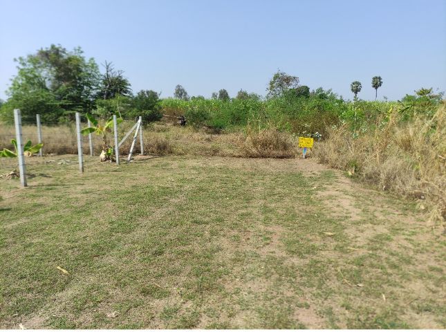 ขายที่โฉนด1ไร่  ตรงข้ามท้องฟ้าจำลอง ,ถมแล้ว  อยู่ในซอยบ้านสวนบนเนิน2  ต.โคกกรวด อ.เมือง จ.นครราชสีมา มีไฟฟ้าแล้วขาย1,300,0000บ รูปที่ 4