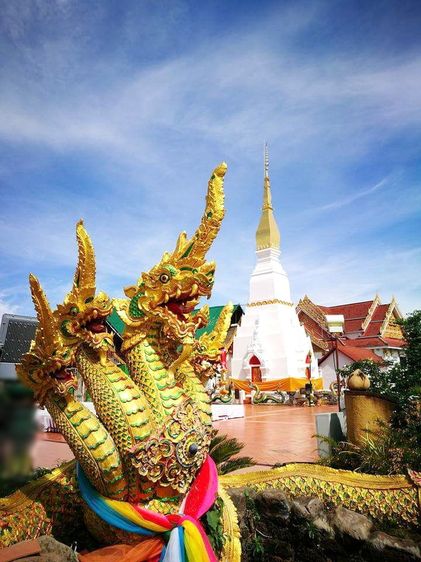 หลวงพ่อพระองค์แสน วัดพระธาตุเชิงชุม รุ่นพญาสุวรรณนาค 9 นิ้ว รูปที่ 7