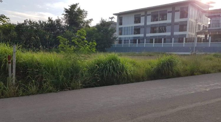 ขายที่ดินโฉนด269 ตร.วา ทำเลทองสำหรับทำหอพัก ติดมทส.ประตู4 ต.สุรนารี อ.เมือง จ.นครราชสีมา รูปที่ 2