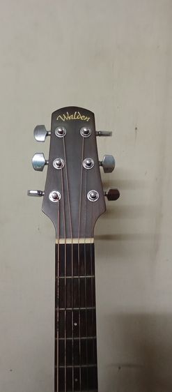 กีต้าร์โปร่ง Walden รุ่น D550 (top solid spruce) ไม้หน้า ไม้แท้ เคลือบด้านทั้งตัว เซ็ตแอคชั่นจากช่างมาแล้ว เล่นง่าย สายไม่สูง ลื่นมือ สภาพสว รูปที่ 3