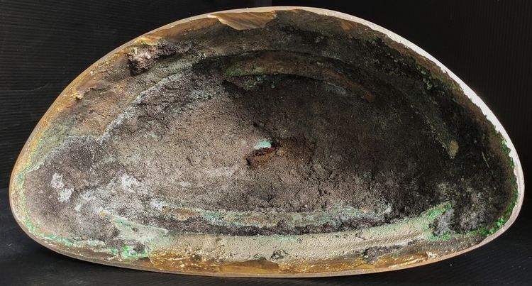 สมเด็จพระศรีเมืองทอง วัดต้นสน อ่างทอง ดินไทย 9.5  นิ้ว  รูปที่ 7