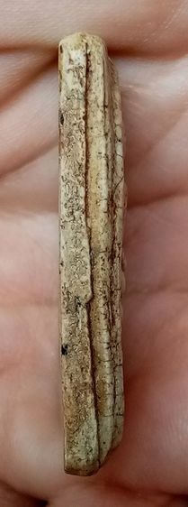 พระเก่า  รูปที่ 4