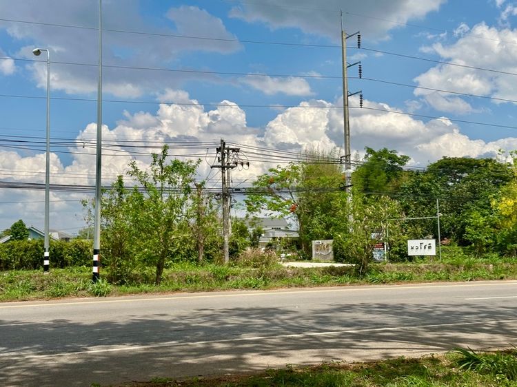 ไม่ใช่ ที่ดินพะเยาติดถนนใหญ่ทำเลดี  ใกล้ม.พะเยาเพียง5นาที รูปที่ 3