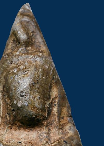 พระชุดเบญจภาคี พระนางพญาพิษณุโลก พิมพ์เข่าโค้ง นิยม รูปที่ 9