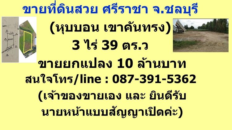 🎉 ขายที่ดินสวยหุบบอน ศรีราชา 📍 3 ไร่ 39 ตร.ว. ยกแปลง 10 ล้านบาท รูปที่ 2