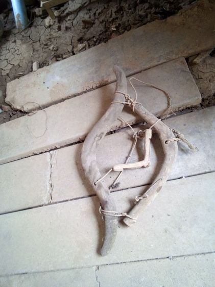 คันไถไม้สักทั้งชุด รูปที่ 3