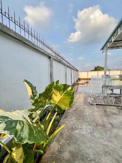 บ้านพร้อมที่ดินคลอง11หนองเสือ ปทุมธานี (โครงการสวนแก้ว) 200 ตร.ว 2.79 ล้านบาท รูปที่ 4