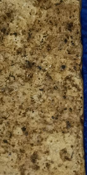 พระสมเด็จวัดระฆัง เนื้อตุบตั๊บมากๆคะคราบสวยๆธรรมชาติเลยคะ รูปที่ 6