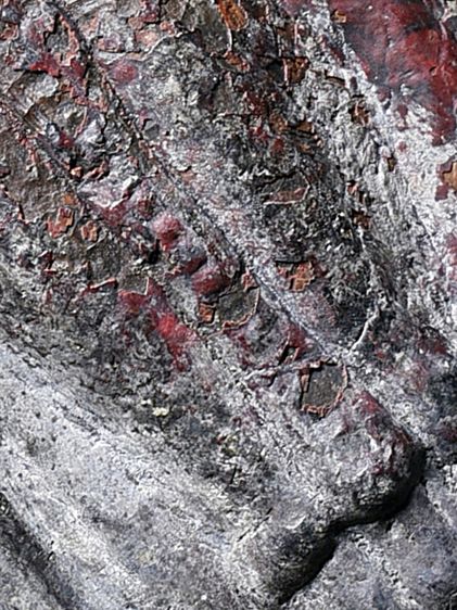 เนื้อชินสนิมแดง ให้เช่าบูชา พระกรุ พระร่วงยืน หลังลายผ้า หน้ายักษ์ กรุวัดพระศรีมหาธาตุ ลพบุรี  รูปที่ 5