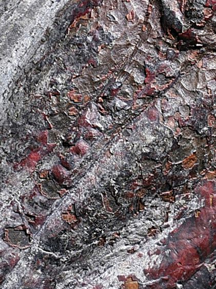 เนื้อชินสนิมแดง ให้เช่าบูชา พระกรุ พระร่วงยืน หลังลายผ้า หน้ายักษ์ กรุวัดพระศรีมหาธาตุ ลพบุรี  รูปที่ 17