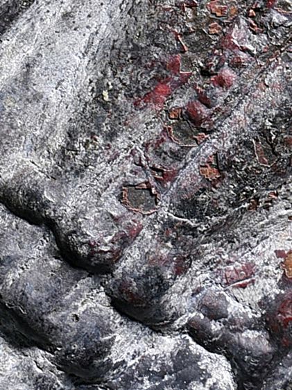 เนื้อชินสนิมแดง ให้เช่าบูชา พระกรุ พระร่วงยืน หลังลายผ้า หน้ายักษ์ กรุวัดพระศรีมหาธาตุ ลพบุรี  รูปที่ 18