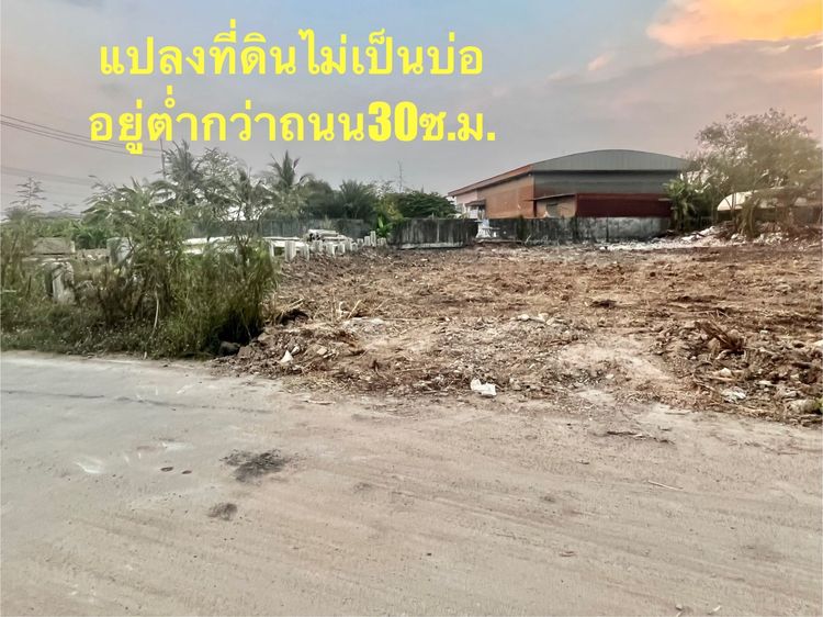 ขายที่ดิน1 ไร่  ติดถนนมหาสวัสดิ์ 4  ซอยยิ่งเจริญ ต.มหาสวัสดิ์ อ.พุทธมณฑล จ.นครปฐม ใกล้อบต มหาสวัสดิ์ ใกล้ศาลเจ้ากวนอูศาลายา เจ้าของขายเอง รูปที่ 3