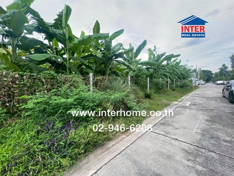 ไม่ใช่ ที่ดินเปล่า 198 ตร.ว. ที่ดิน ซอยนวมินทร์74 แยก3-8 ถนนนวมินทร์ ถนนรามอินทรา เขตบางกะปิ กรุงเทพมหานคร รูปที่ 2