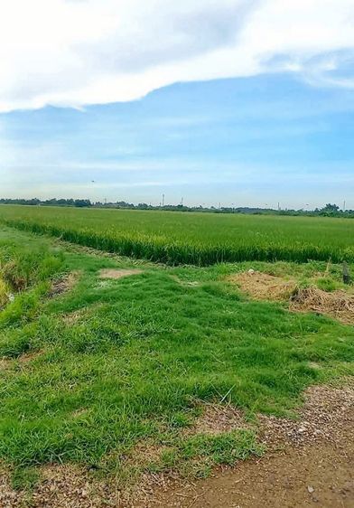 ที่ดินลำลูกกาคลอง11  10 ไร่ ไร่ละ 950,000.- รูปที่ 2