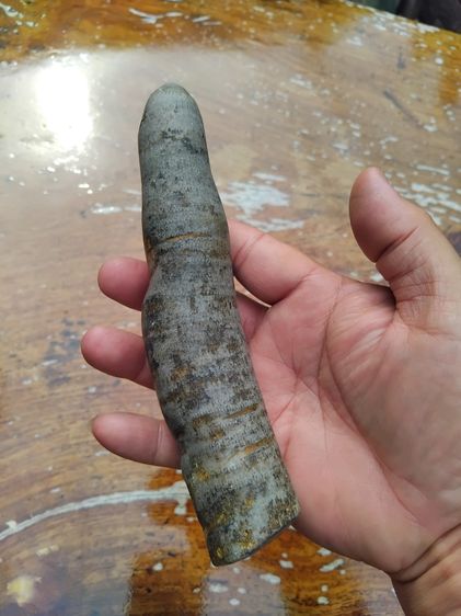 คตมันเทศ ทรงกลมยาว ที่ขั้วมีเส้นรัศมี ขนาดประมาณ 6 นิ้ว เนื้อแห้ง มันเงา สีน้ำตาลอมแดง ขนาดใหญ่ แข็งเป็นหิน มีน้ำหนัก เก่าจัด คตงอ รูปทรงเป็ รูปที่ 2