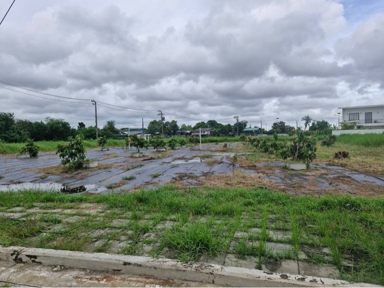 ขายที่ดินเปล่าธนาซิตี้ รูปที่ 4