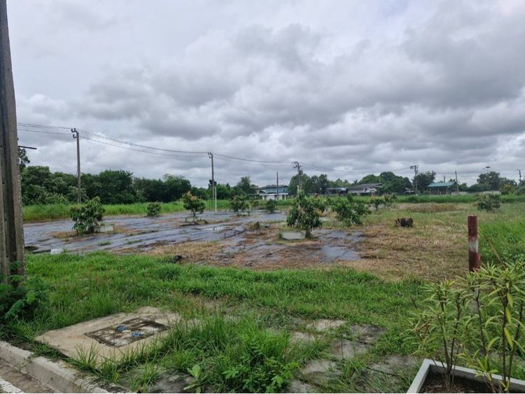 ขายที่ดินเปล่าธนาซิตี้ รูปที่ 3