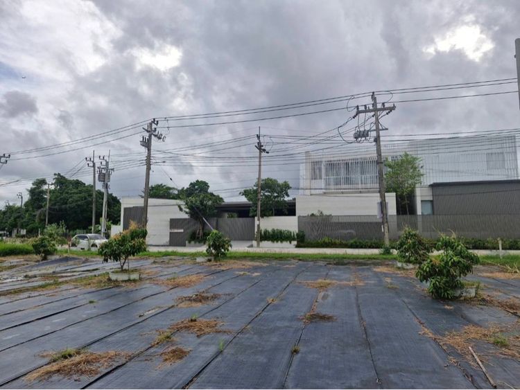 ขายที่ดินเปล่าธนาซิตี้ รูปที่ 2
