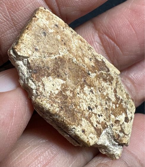 🙏พระสมเด็จบางขุนพรหมปรกโพธิ์🙏 รูปที่ 4